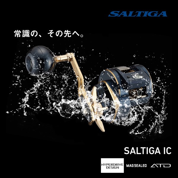 ダイワ ベイトリール 21ソルティガIC 300 右巻(300): リール｜釣具の