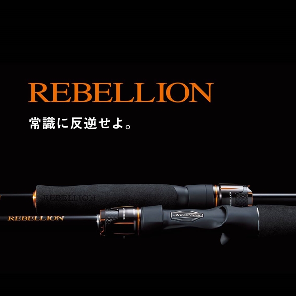訳あり】ダイワ 20 リベリオン 631MLFB(ベイト 1ピース)【大型商品