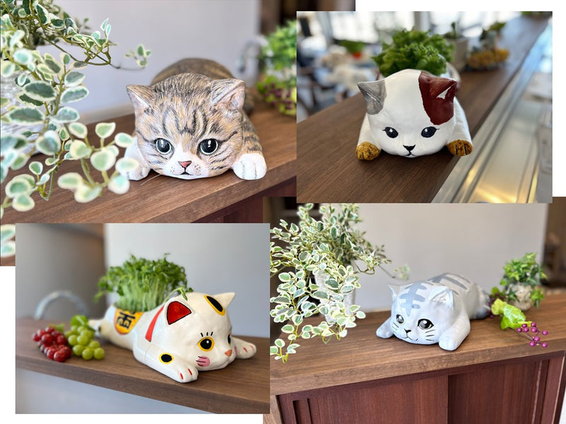 おえかきにゃんこの水耕栽培キット – Makuake STORE