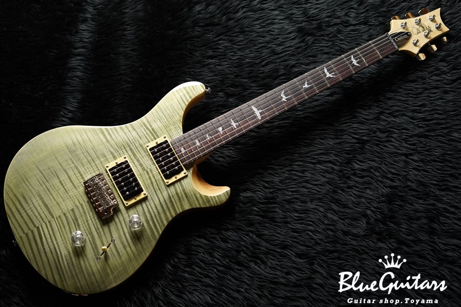 Paul Reed Smith(PRS) SE Custom 24 - Trampas Green | Blue Guitars