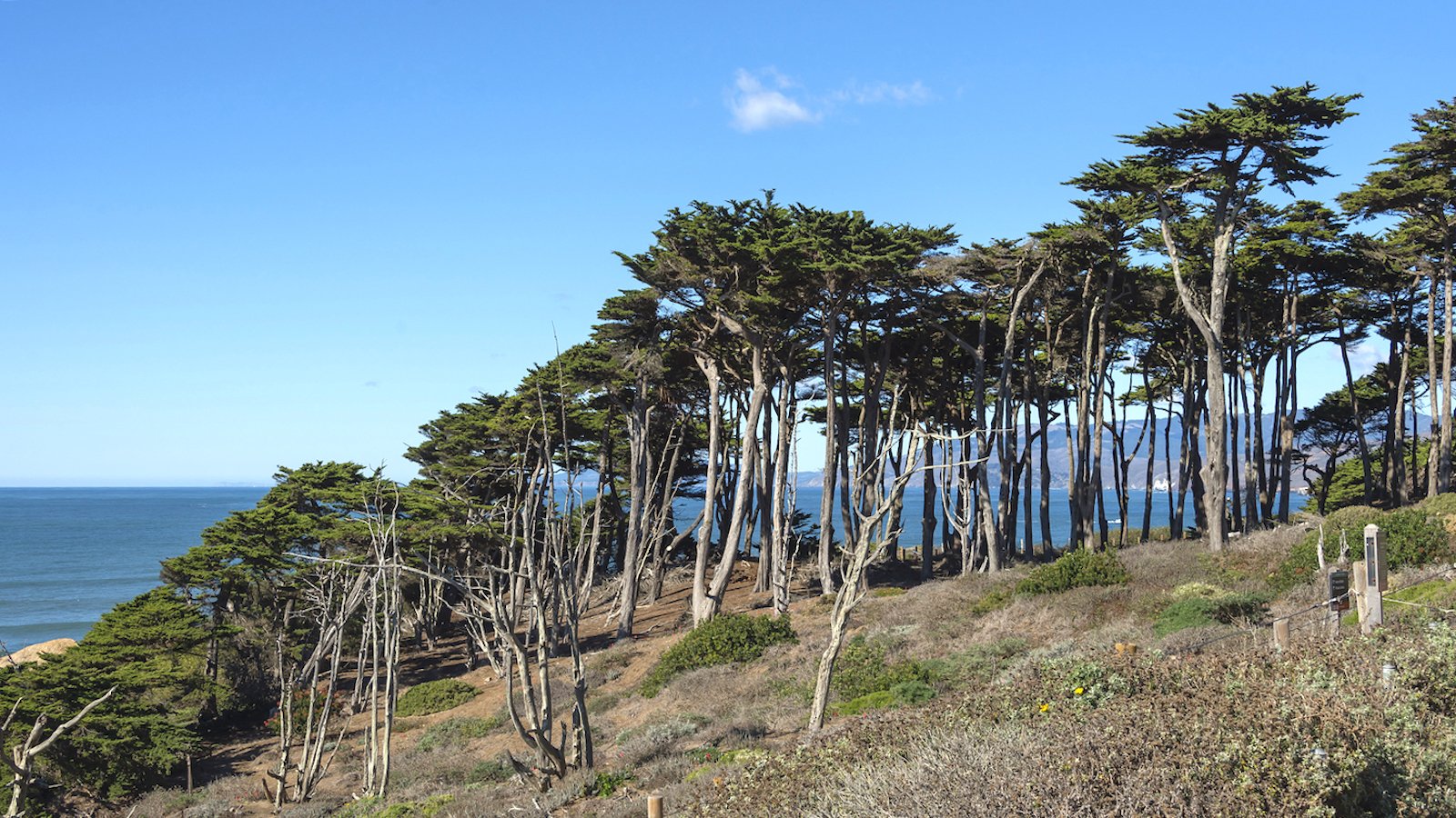 Mug - Alcatraz – PARK STORE