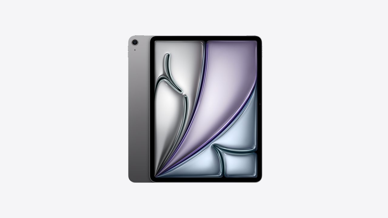 Buy 13-inch iPad Air Wi-Fi 256GB - Space Gray - Education - Apple