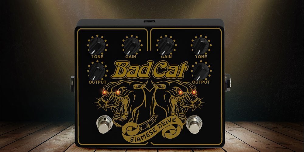 Bad Cat Siamese Drive | 冷や汗かいても後悔せず