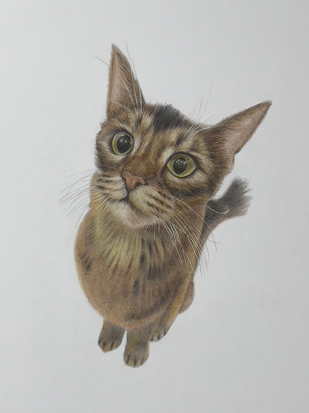 猫をリアルに塗ってみよう | 色鉛筆画はじめました