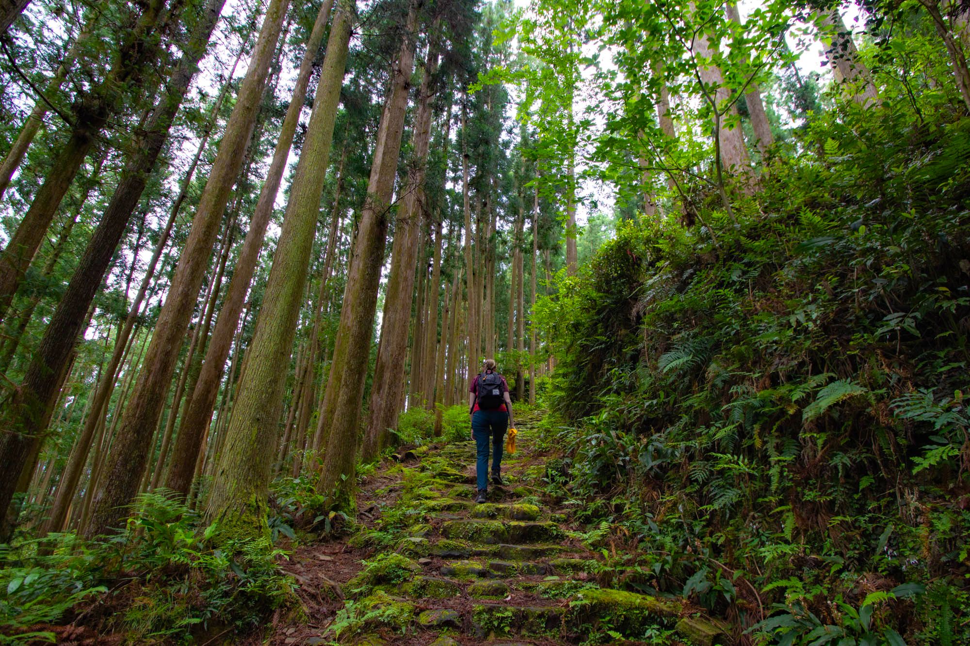 Kumano Kodō self-guided walking 6 days