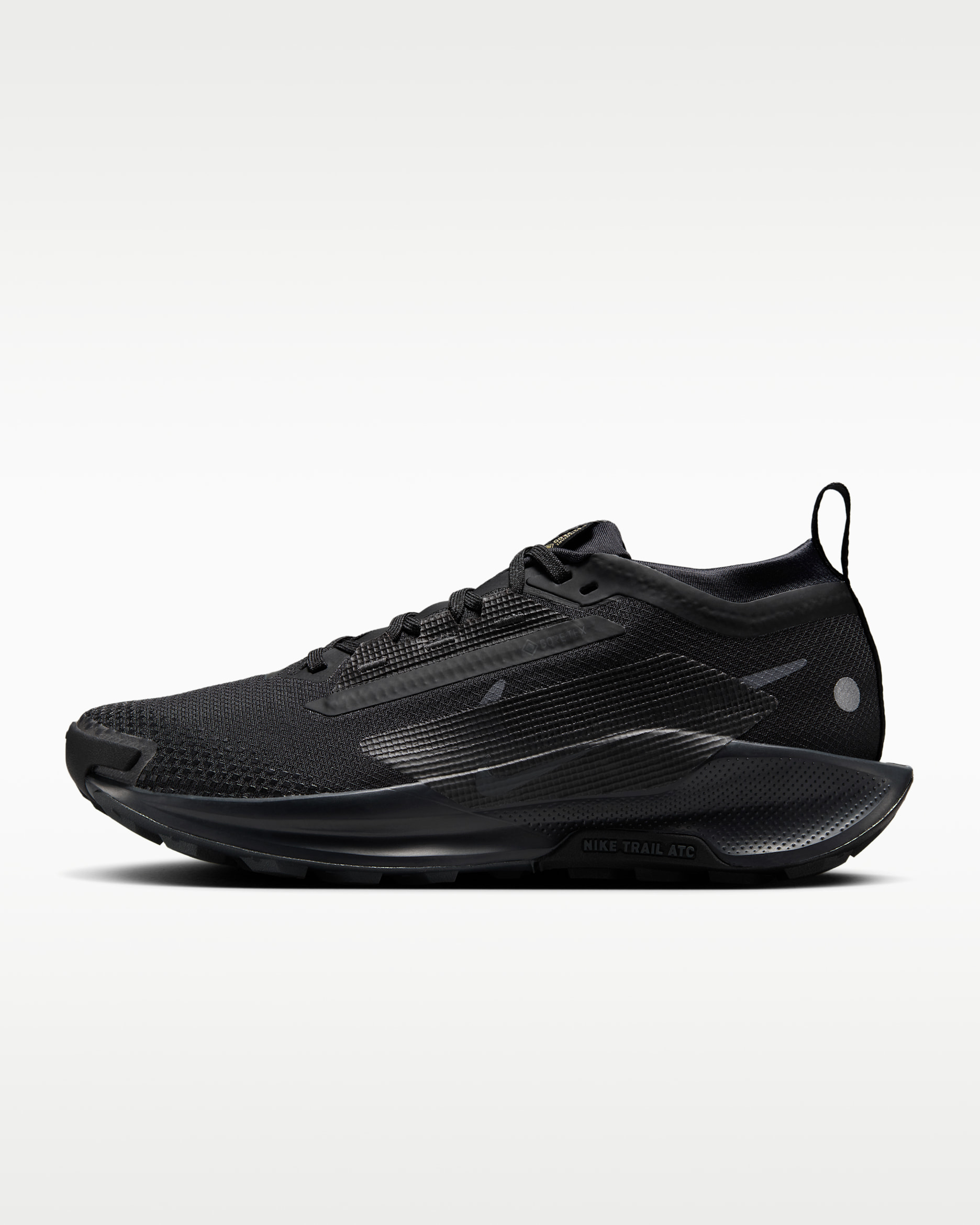 NIKE公式】ナイキ ペガサス トレイル 5 GORE-TEX ウィメンズ 防水