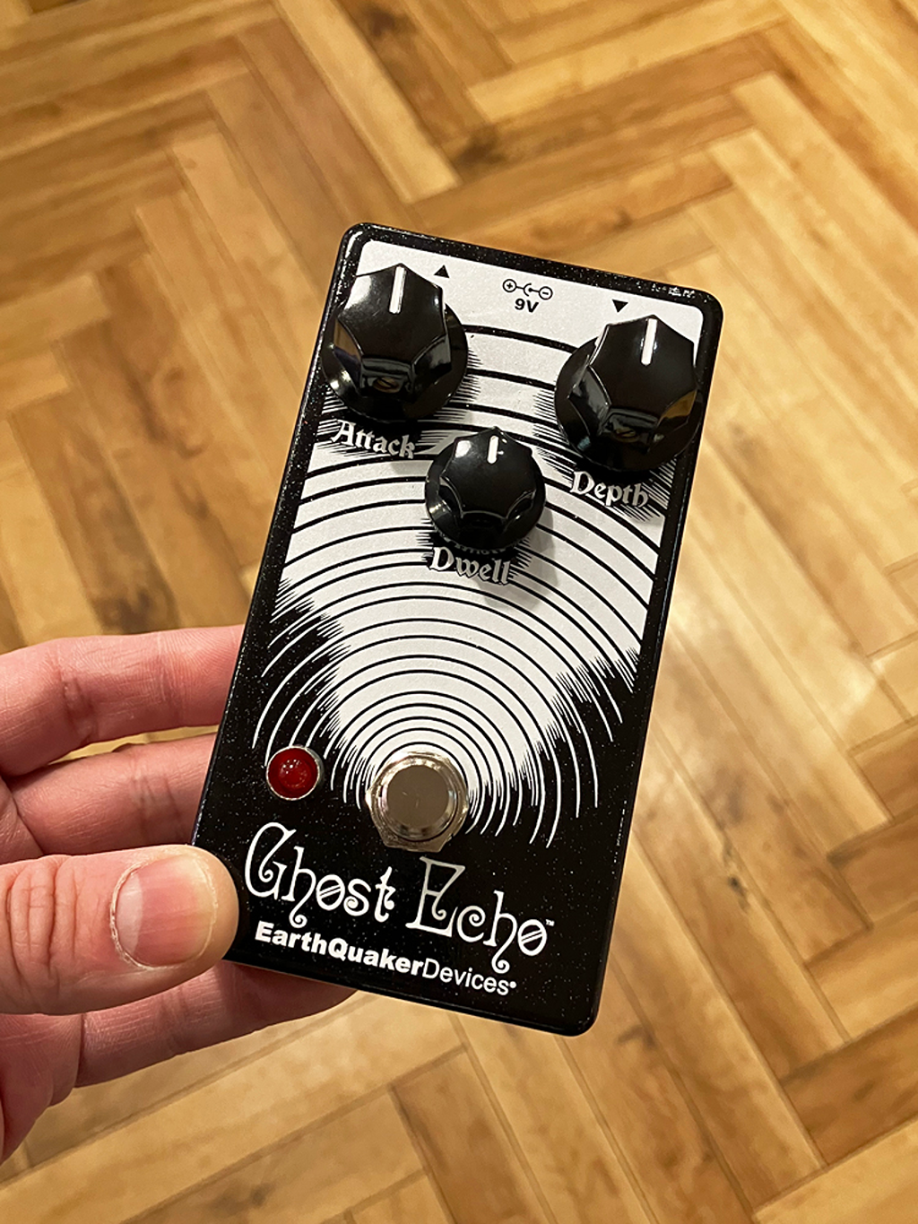 値下げ受け付けます！EarthQuaker Devices Ghost Echo EarthQuaker