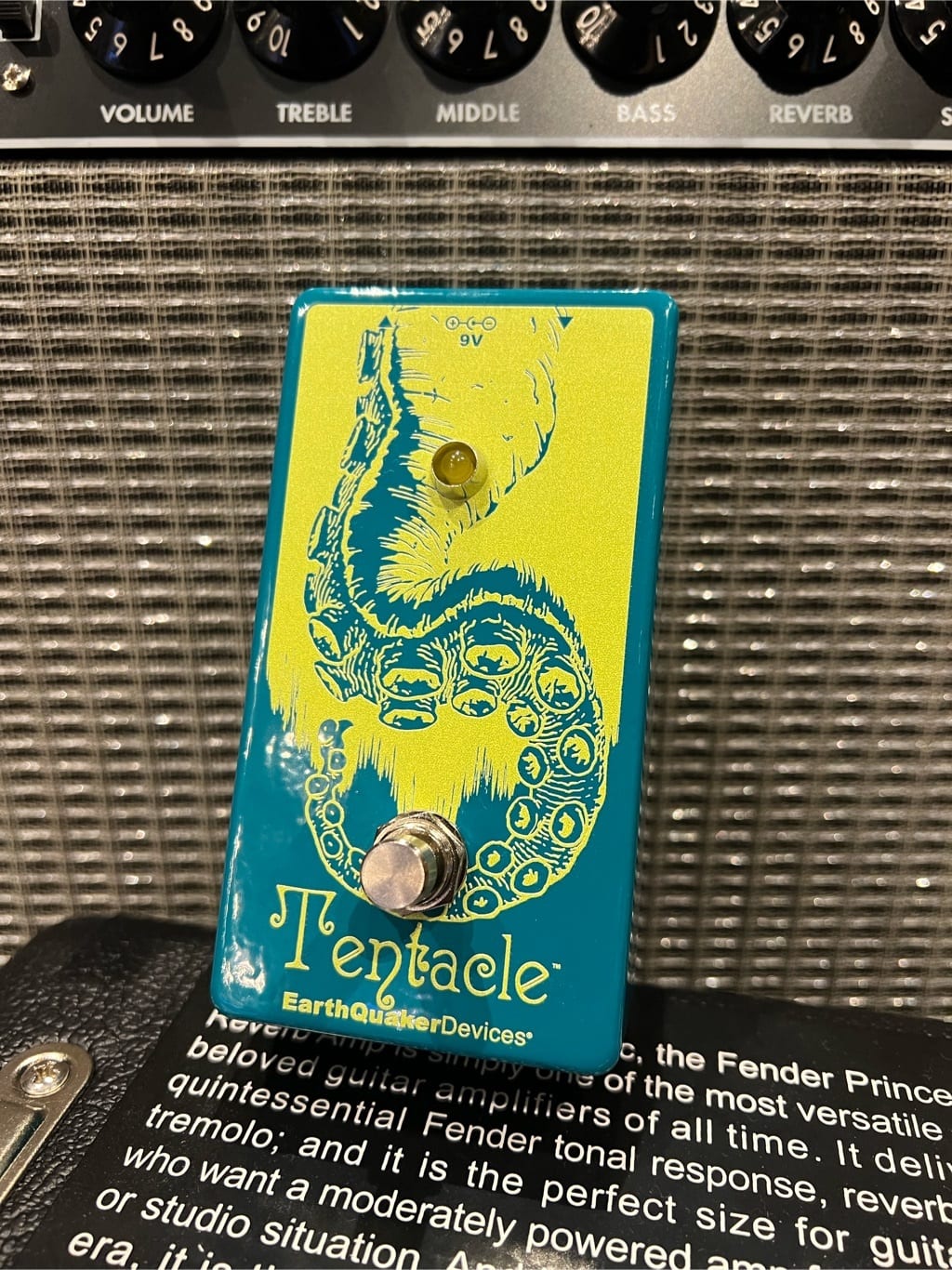 EarthQuaker Devices Tentacle Analog Octave Up（オクターバー