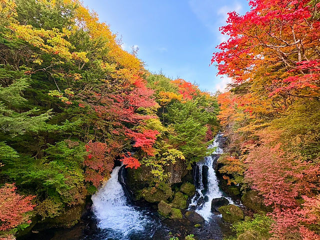 龍頭之茶屋|新着情報|紅葉情報|営業日|定休日|竜頭の滝|奥日光|中禅寺