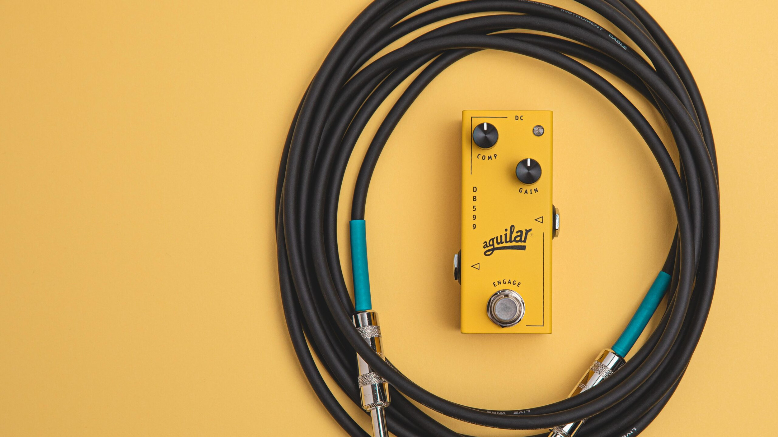 DB 599 | Aguilar Amplification