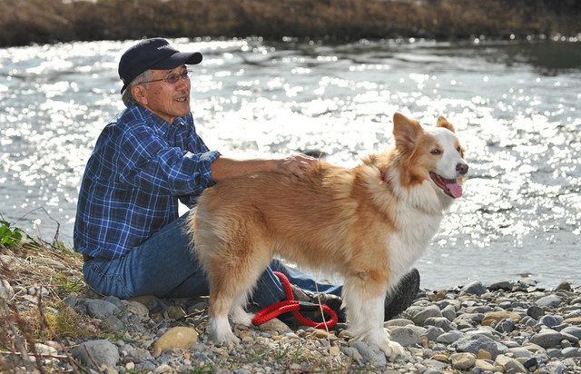 野田知佑さん死去 カヌーイスト・作家「日本の川を旅する」：東京新聞